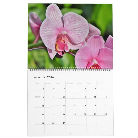 Calendrier Large Size Orchids Calendar (Mar 2026)