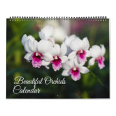 Calendrier Large Size Orchids Calendar (Protection)