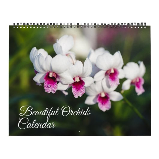 Calendrier Large Size Orchids Calendar (Protection)