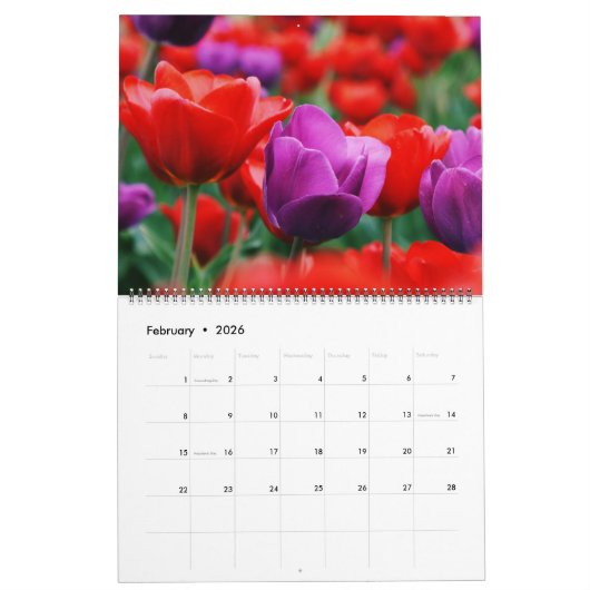 Calendrier Large Size Tulips Calendar (Feb 2026)