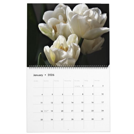 Calendrier Large Size Tulips Calendar (Jan 2026)