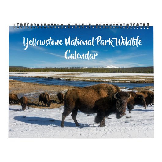 Calendrier Large Size Yellowstone Calendar-Wildlife Calendar (Protection)