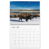 Calendrier Large Yellowstone Park Calendar (Mar 2026)