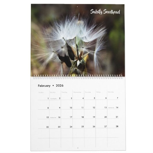 Calendrier L'art botanique de Shelli Fitzpatrick (Feb 2026)