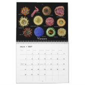 Calendrier L'art de la médecine (Mar 2027)