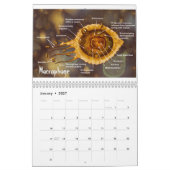 Calendrier L'art de la Science #3 (Jan 2027)