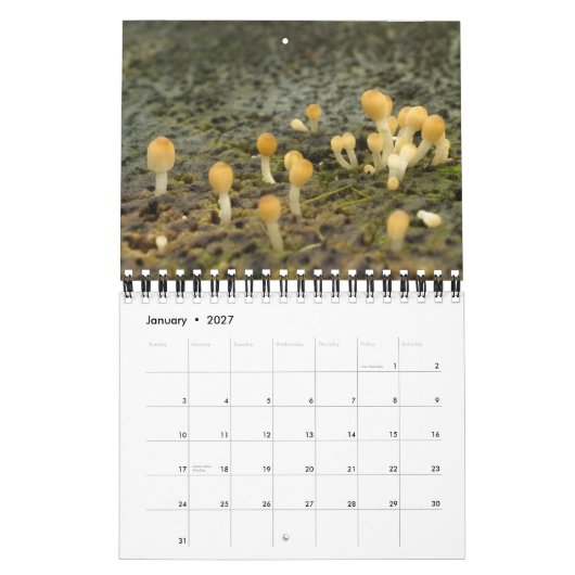 Calendrier Las Encantadas (Jan 2027)