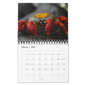 Calendrier Las Encantadas (Feb 2026)