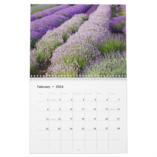 Calendrier Lavande (Feb 2026)