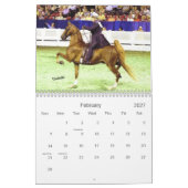 Calendrier Le bel Américain Saddlebred (Feb 2027)