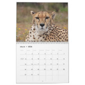 Calendrier Le Cheetah (Acinonyx Jubatus) (Mar 2026)