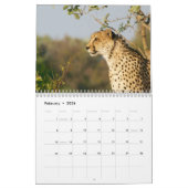 Calendrier Le Cheetah (Acinonyx Jubatus) (Feb 2026)