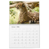Calendrier Le Cheetah (Acinonyx Jubatus) (Jan 2026)