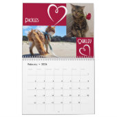 Calendrier Le Daily Mews, Cat Charity Calendar 2025 (Feb 2026)