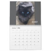 Calendrier Le Daily Mews, Cat Charity Calendar 2025 (Jan 2026)