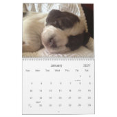 Calendrier Le ~ de Winterborn Spinone a mis à jour le Med. de (Jan 2027)
