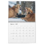 Calendrier Le Fox Lover's (Feb 2027)