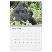 Calendrier Le gorille de montagne (Feb 2026)