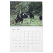 Calendrier Le gorille de montagne (Mar 2027)