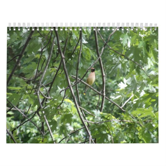 Calendrier Le grand extérieur (Protection)