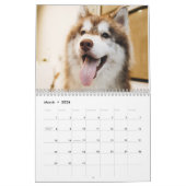 Calendrier Le Husky Sibérien (Mar 2026)