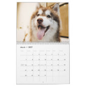 Calendrier Le Husky Sibérien (Mar 2027)