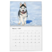 Calendrier Le Husky Sibérien (Feb 2027)