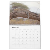 Calendrier Le léopard animal sauvage (Mar 2027)