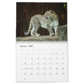 Calendrier Le léopard animal sauvage (Jan 2027)