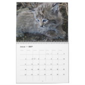 Calendrier Le Lynx (Jan 2027)