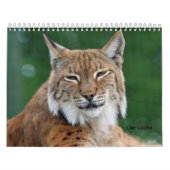 Calendrier Le Lynx (Protection)