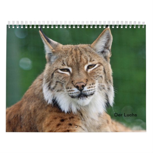 Calendrier Le Lynx (Protection)