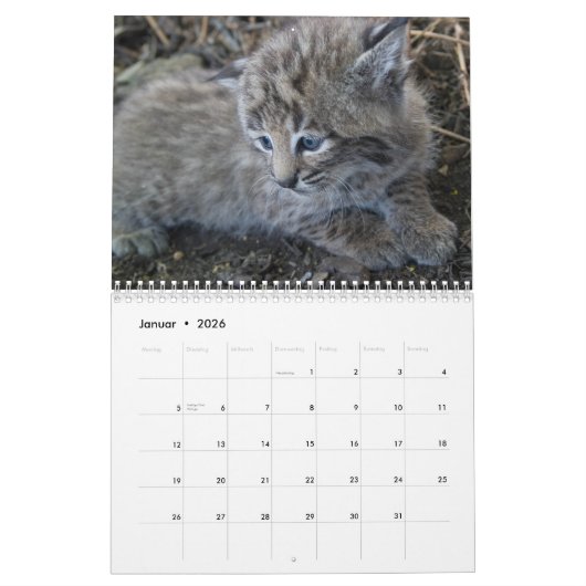 Calendrier Le Lynx (Jan 2026)