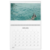 Calendrier Le Marine Five (Jan 2027)