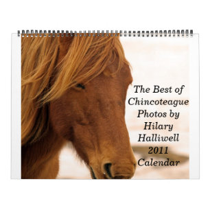 Calendrier Le meilleur de ChincoteaguePhotos par hilaire…