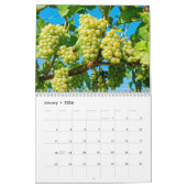 Calendrier Le Mur des Vins Calender - Veni, Vidi, Vino. (Jan 2026)