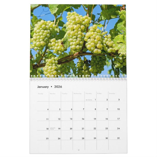 Calendrier Le Mur des Vins Calender - Veni, Vidi, Vino. (Jan 2026)