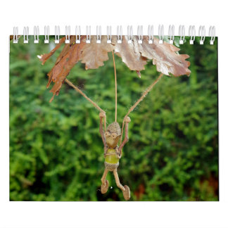 Calendrier Le peuple d'Acorn dans la vallée de Shirebrook