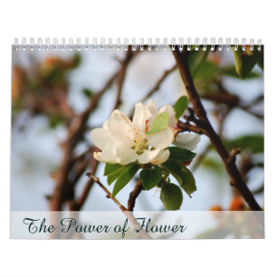 Calendrier Le pouvoir de la fleur