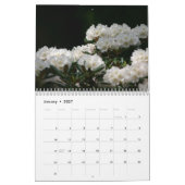 Calendrier Le printemps perpétuel 2011 (Jan 2027)