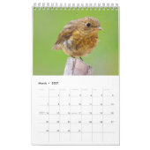 Calendrier Le Robin anglais (Mar 2027)