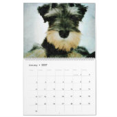 Calendrier Le Schnauzer adorable de 12 mois poursuit l'art (Jan 2027)
