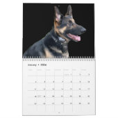 CALENDRIER LE SHEPHERD ALLEMAND (Jan 2026)
