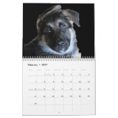CALENDRIER LE SHEPHERD ALLEMAND (Feb 2027)
