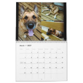 CALENDRIER LE    SHEPHERDCALENDAR ALLEMAND (Mar 2027)