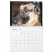 CALENDRIER LE    SHEPHERDCALENDAR ALLEMAND (Feb 2027)
