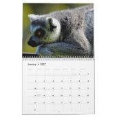 Calendrier Lemur 2025 (Jan 2027)