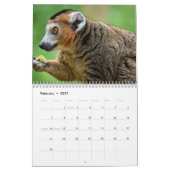 Calendrier Lemur 2025 (Feb 2027)