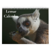 Calendrier Lemur 2025 (Protection)