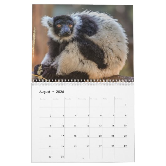 Calendrier Lemur 2025 (Aug 2026)